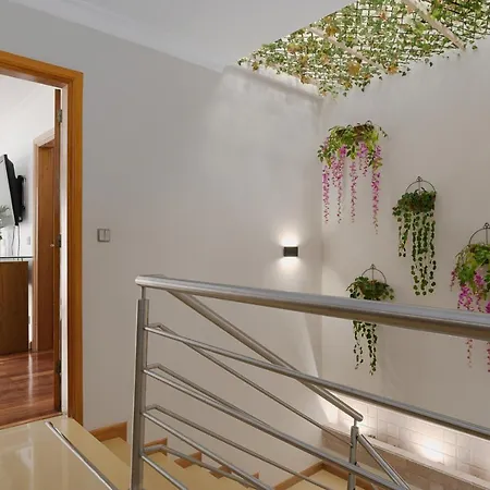 Vakantiehuis Douro Green Villa *